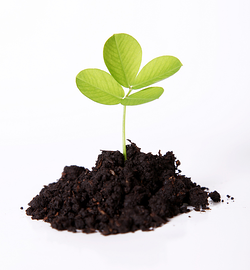 Look beyond the obvious answers to find a new market opportunity. The growth that comes with it is definitely worth the effort. 