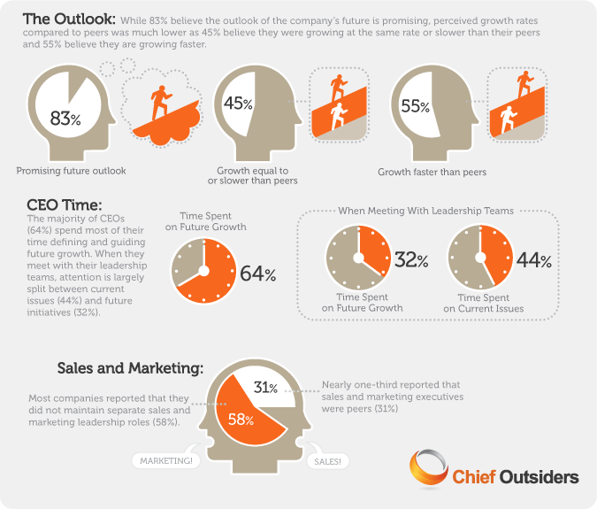 ceo-insights-infographic-findings