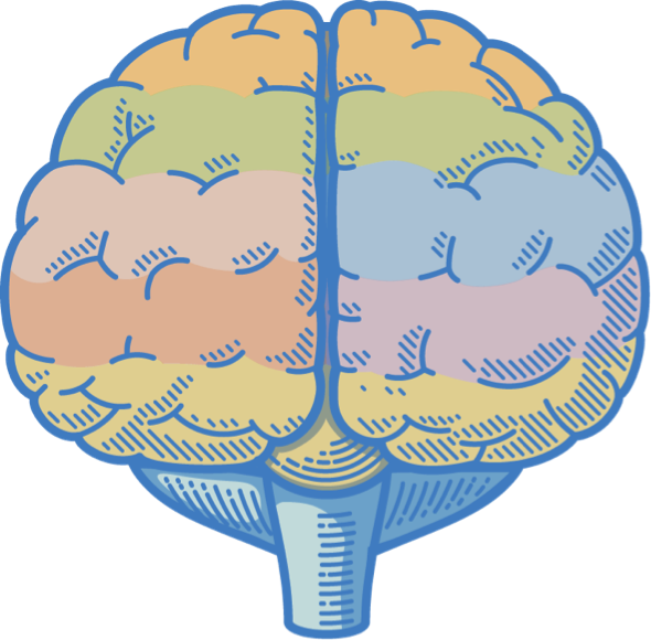Whole Brain Brand Positioning