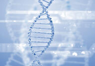 DNA - How to maintain and gain strong relationships with old and new customers