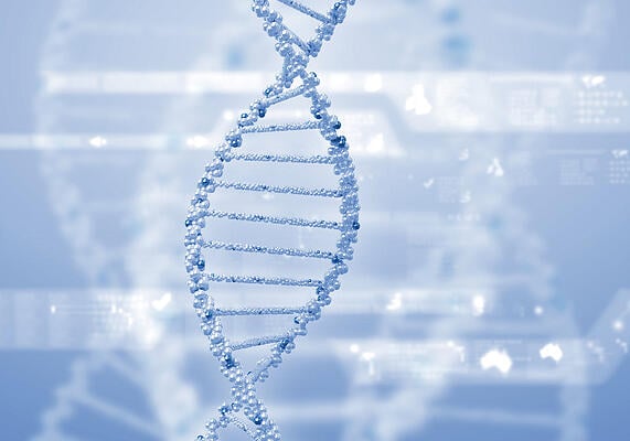 5 Steps to Building Customer Service into your Company's DNA