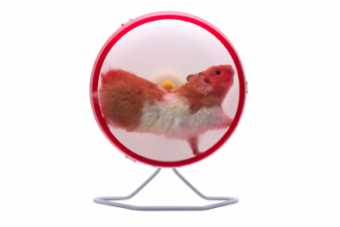 Recruit, Hire, Train. Are you better at it than your competitors?
