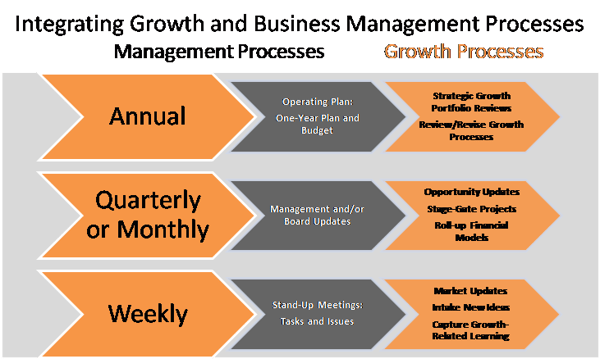 Integrating-Growth-and-Business-Mmgt-Processes