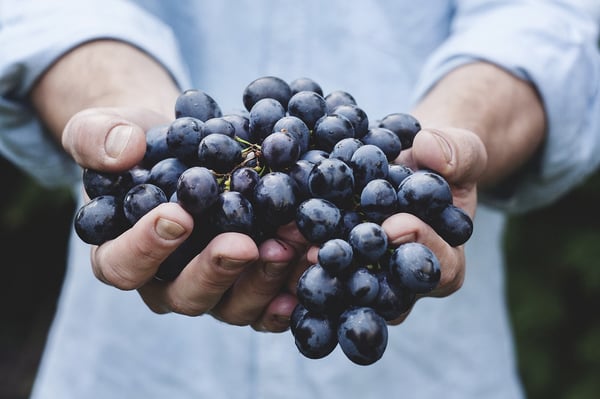 What Digital Marketing Managers Can Learn From the Slow Food Movement