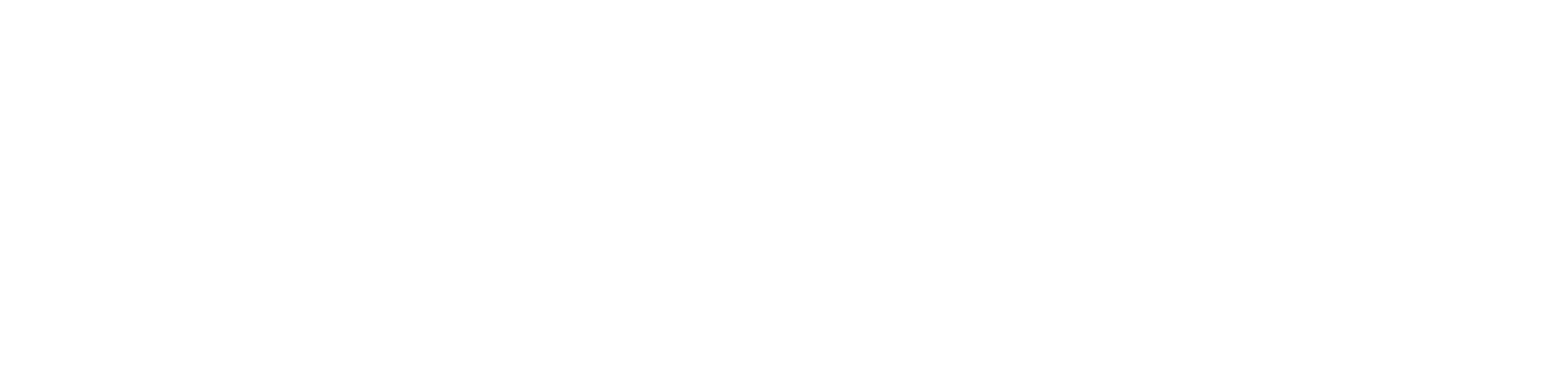 FSI+logo+(white)