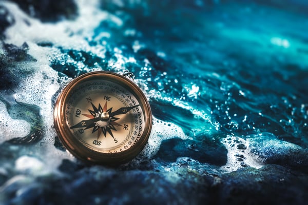 Moving to a Blue Ocean With Growth Gears: Five Steps to Chart a Course for Success