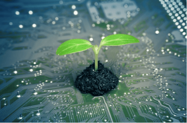 CEOs seek Digital CMOs to Lead Growth