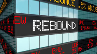 CEO Preparedness Guide for the Post-Pandemic Recovery: Planning for the Rebound