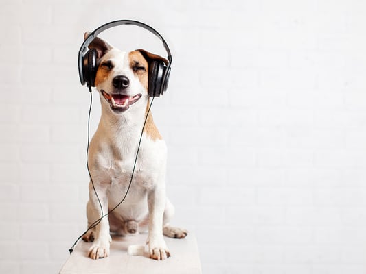 Earn the Right to be Heard as a Brand