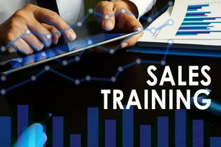 Sales Training Programs for Maximizing Results in PE-Backed Portfolio Companies
