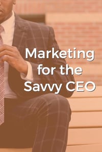 co lead flow- savvy ceo (2)